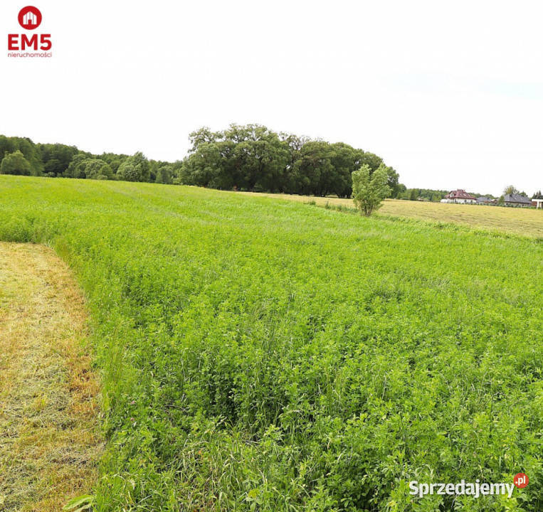 sprzedaży gruntu Suwałki 3001m2