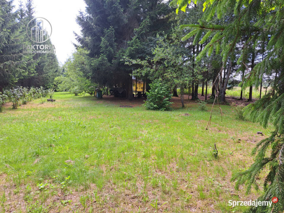 Działka 16000m2 Sobolewo Baranowicka