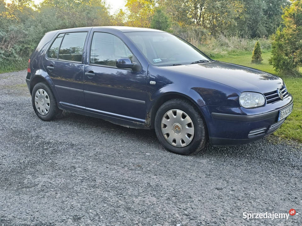 Volkswagen Golf Golf IV 16 105 IV 19972003 Golf Rząśnik