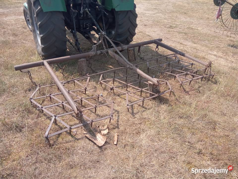 Brony polowe zębatki 3 Radnica