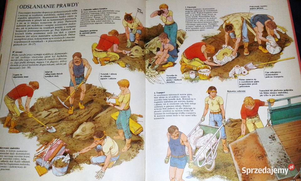 Życie prehistoryczne Steve Parker Chełm sprzedam
