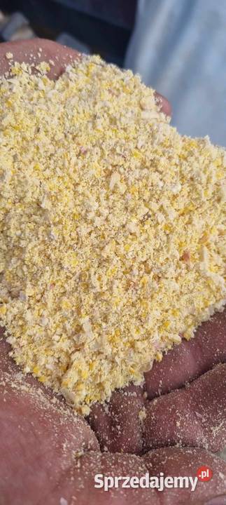 Usługi śrutowania Zbórz ziarna kukurydzy Pozostałe Dobrzyniewo Duże