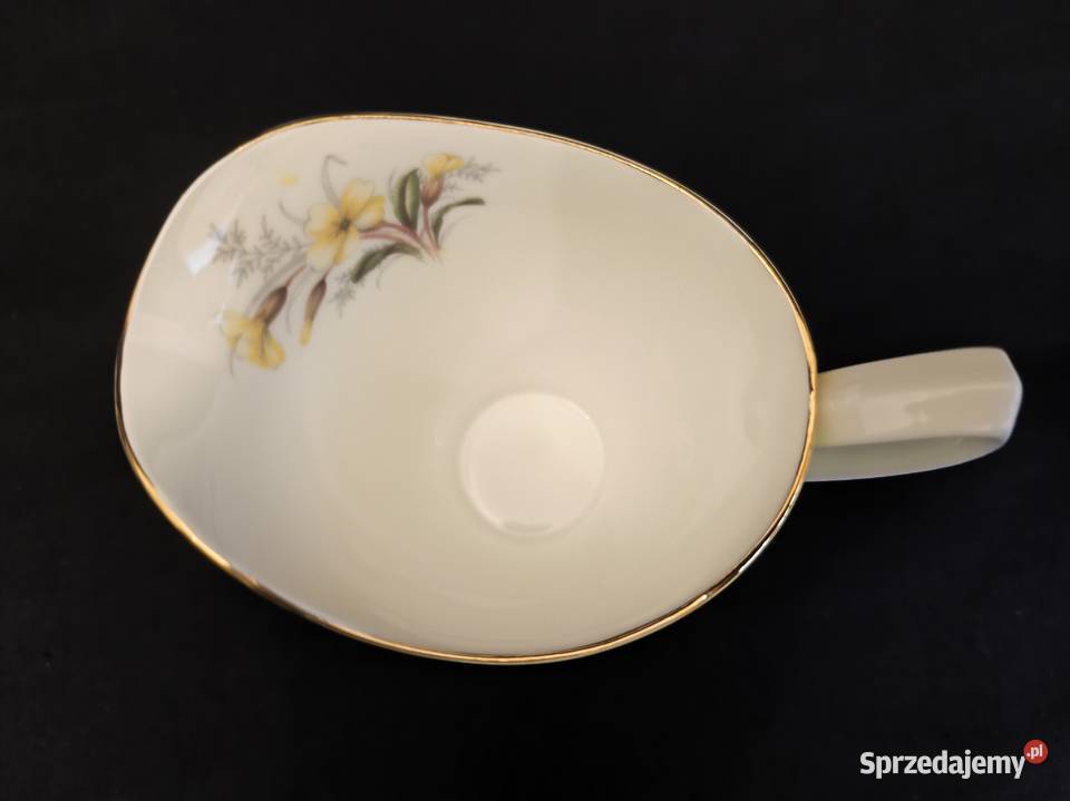 Mlecznik Royal Albert Primrose lubelskie Chełm