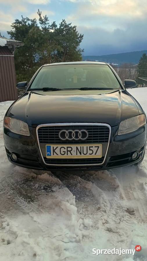 Audi A4 B7 19 TDI 116