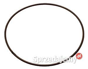 ORING USZCZELNIENIA WAŁU RENAULT 5003065092 Kobylnica