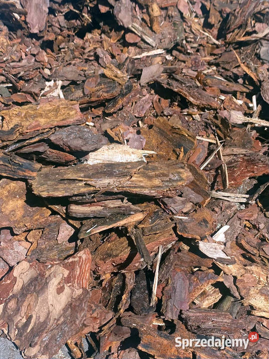 Kora sosnowa sprzedam