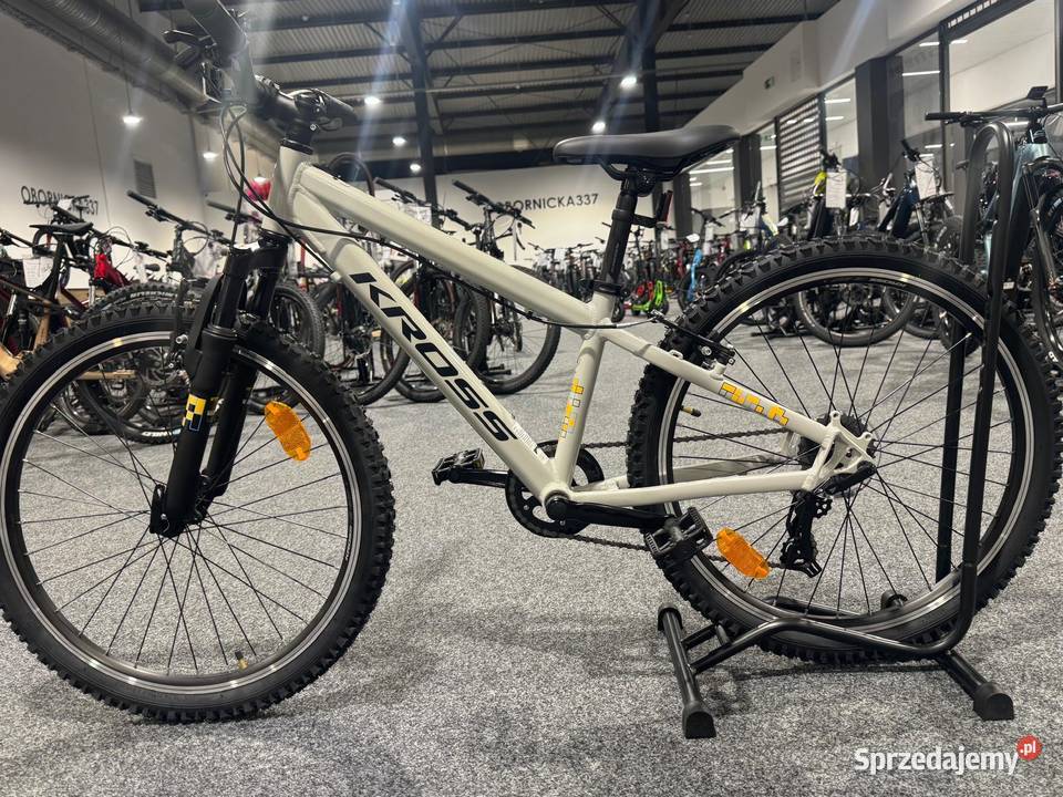 Rower dziecięcy KROSS Dust JR 10 Szary Rama S12 Dziecięce wielkopolskie Poznań