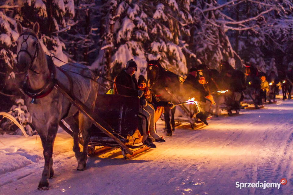 Transport gabarytowy i osobowy Stary Dzików