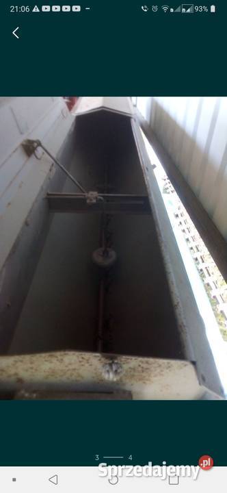 Siewnik poznaniak Miłosław