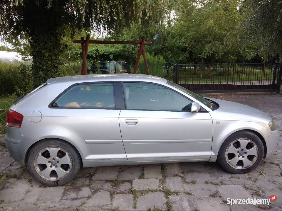 Audi a3 2004 bez rdzy wymianie rozrządu i Chełm