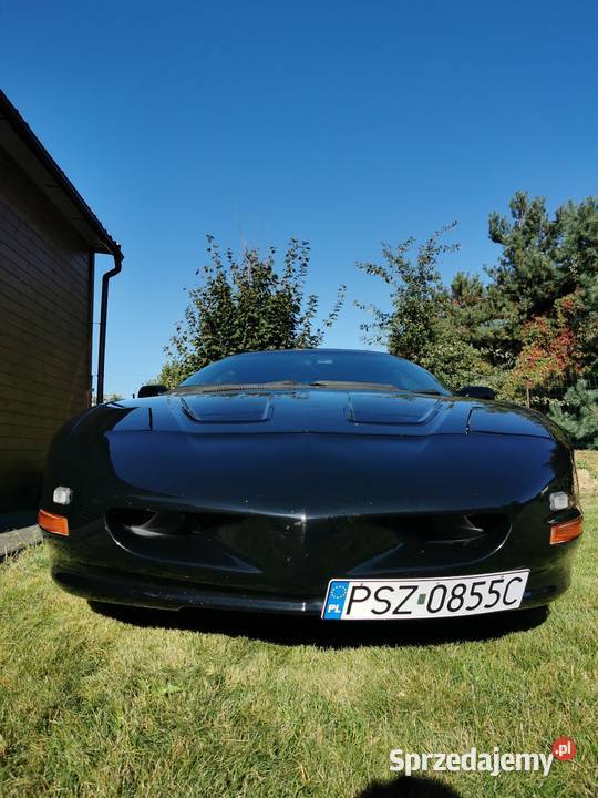 Chevrolet Camaro Pontiac Firebird wielkopolskie Szamotuły