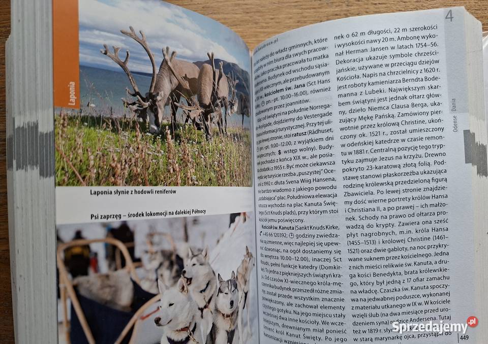 Skandynawia Śladami Wikingów Bezdroża przewodnik Kraków