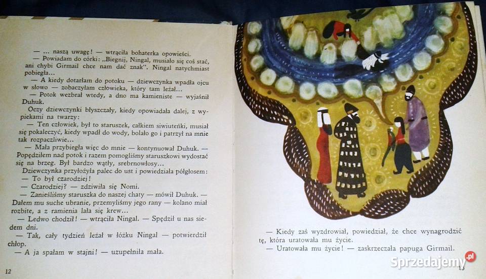 Papuga z Isfahanu Friedrich Feld Chełm