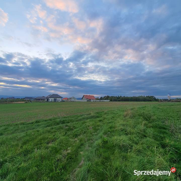 Działka inwestycyjna w Boguszynie k Kłodzko 1010 Sprzedaż