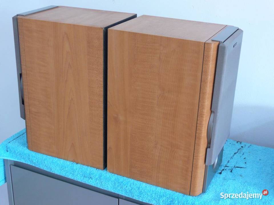 Kolumny Sony SSNX1 mocne i sprawne WYSYŁKA Jasło sprzedam