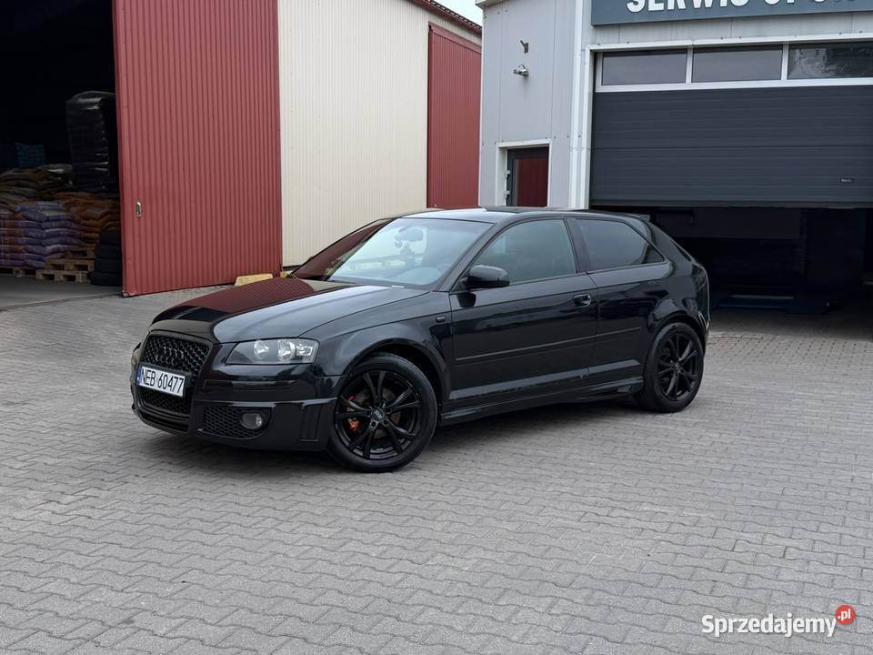 Audi a3 8p 2006 19tdi 105 bkc 105KM Pasłęk