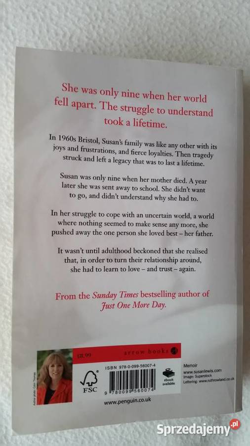 One day at a time Susan Lewis 2011 Pozostałe