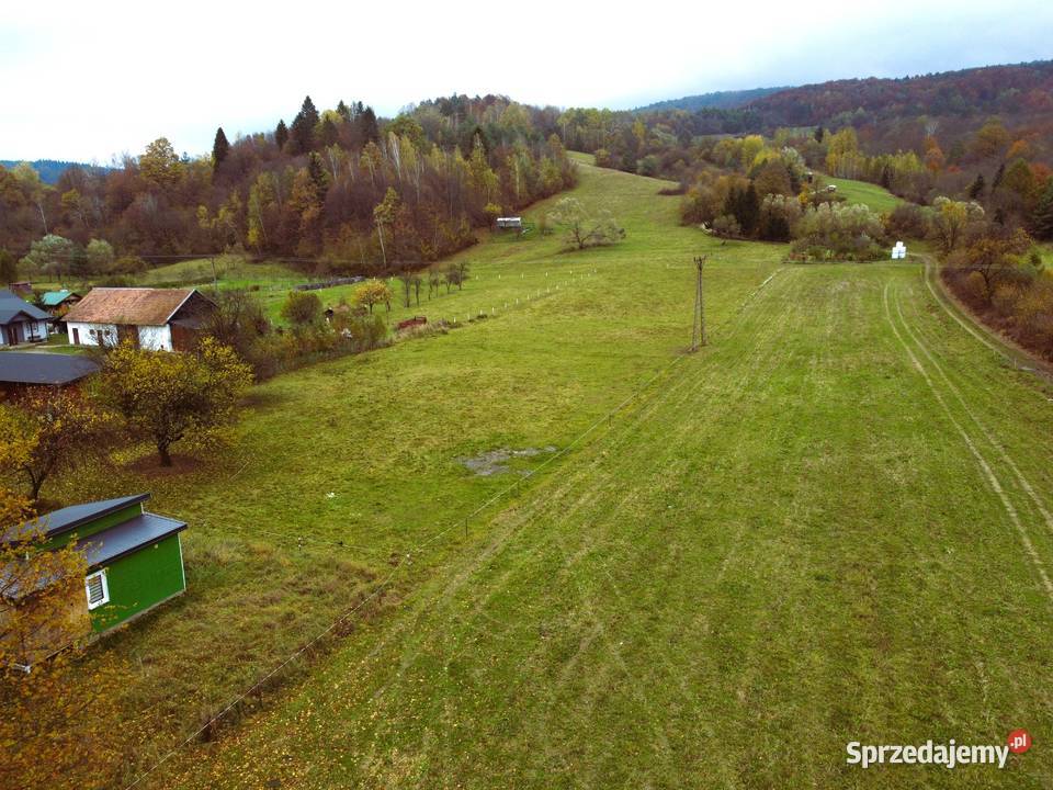 Działki pod zabudowę Krempna