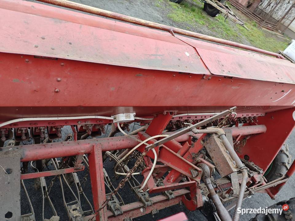 Siewnik poznaniak s043