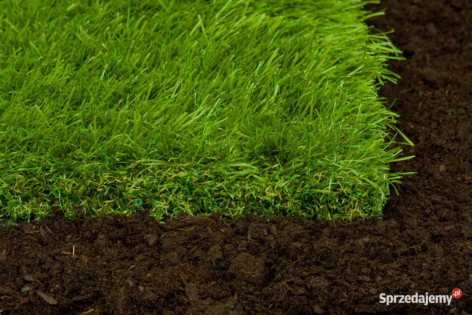 Sztuczna trawa w jakości premium SEWI GRASS Projektowanie i zakładanie ogrodów Poznań