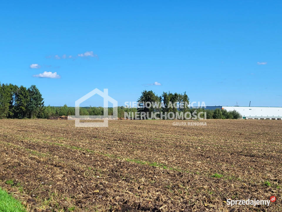 Działka Gdańsk 28990m2 Sprzedaż sprzedam