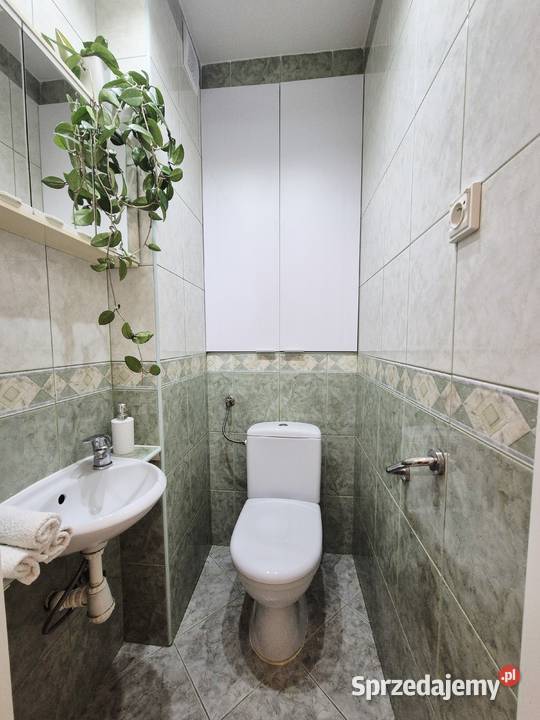 Mieszkanie 3 pokoje plaża las jezioro telefon