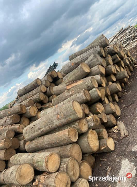 Drewno opałowe brzoza grabdab sosna akacja Ciechanów