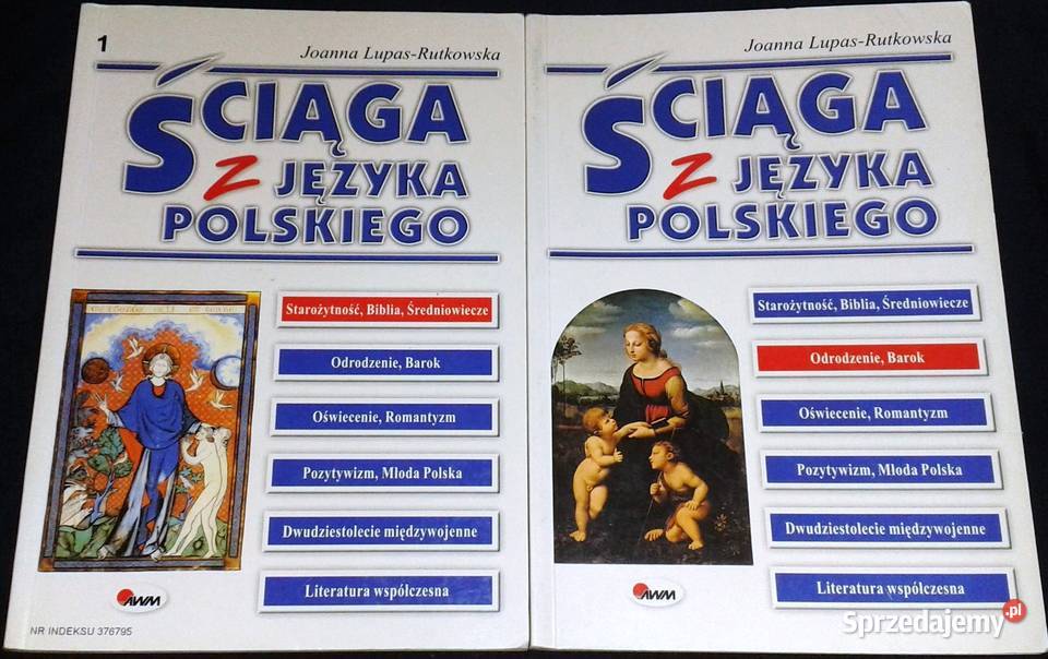 Ściąga z języka polskiego 6 części Joanna Chełm