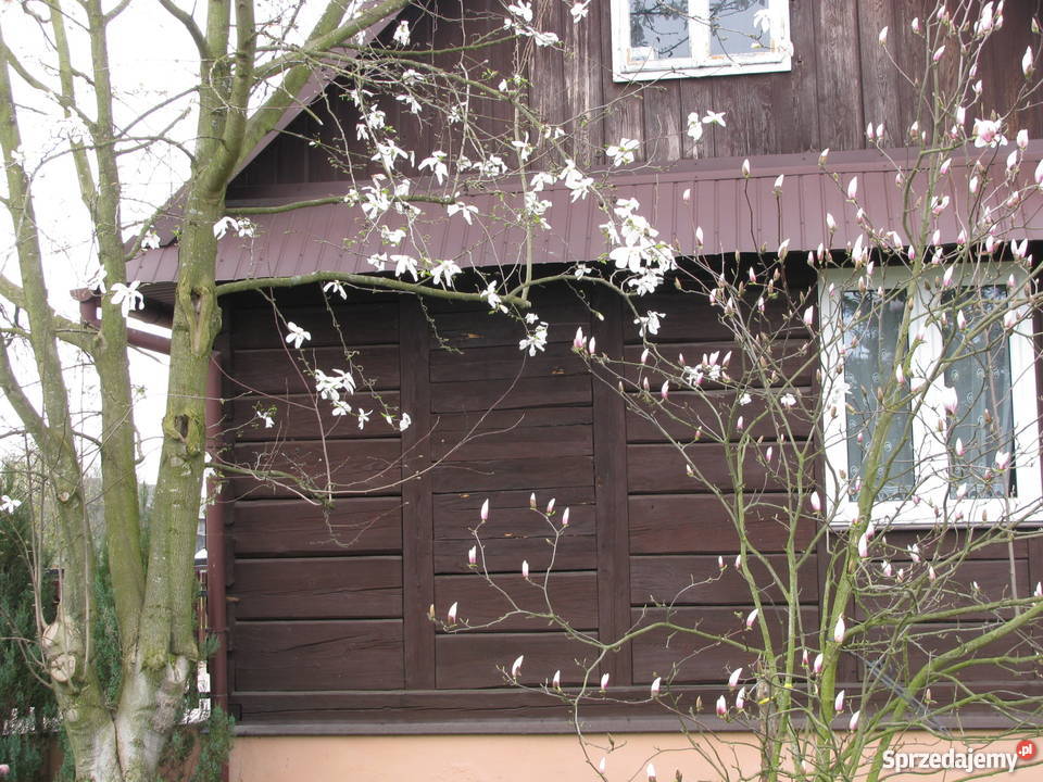 dom do przeniesienia i rozbiórki Rudnik