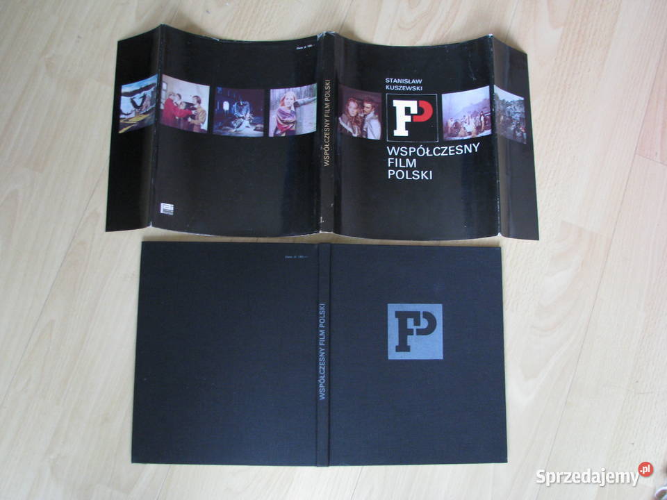 Współczesny film polski Stanisław Kuszewski Brzegi