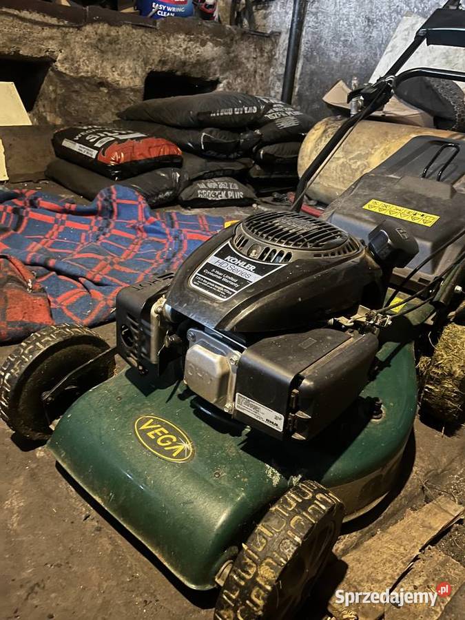 Kosiarka spalinowa Vega