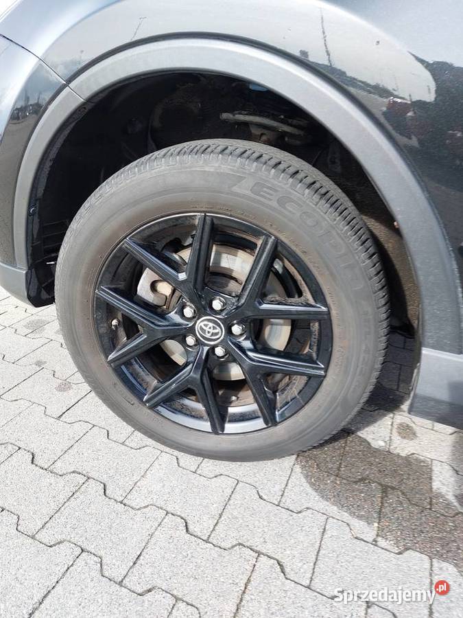 RAV4 Jastrzębie-Zdrój