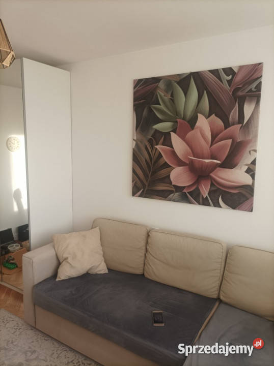 2 oddzielne pokoje zaraz w Centrum Warszawy internet mazowieckie Warszawa