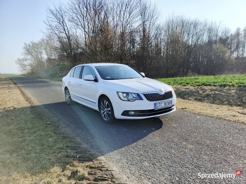 Skoda Superb 2014 20 TDI 170 Tczew