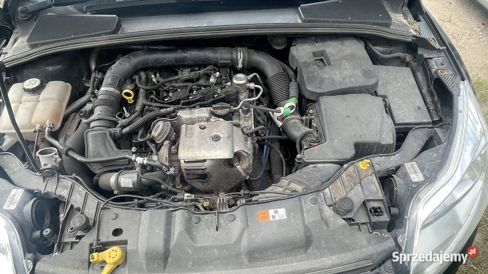 Ford Focus 10 benzyna 2013r uszkodzony silnik manualna Focus Samochody osobowe Olsztyn