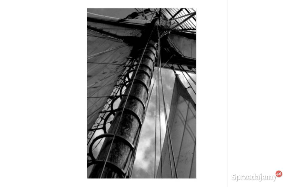 Grafika obraz na ścianę Żagiel 1200x1890 Gdynia sprzedam