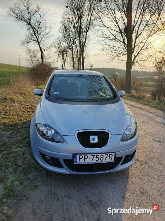 Seat Altea Kraczki