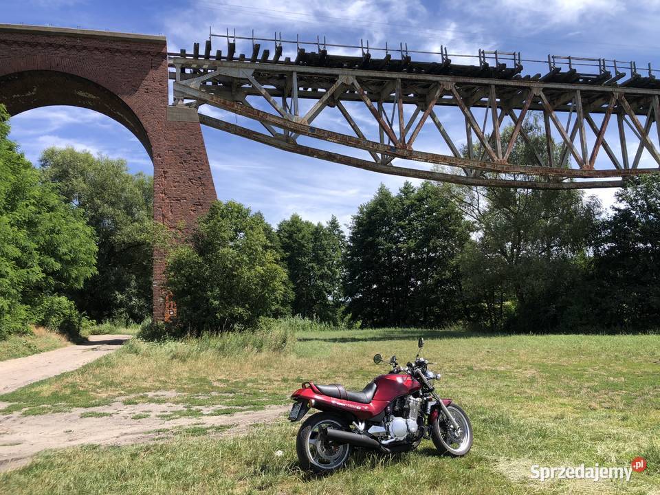 Suzuki GSX1100G Naked 100 1992 Lubasz