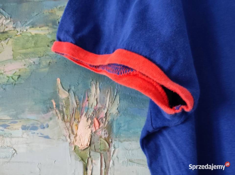 koszulka unikalna Mauritius egzotyczna letnia Odzież codzienna Kielce sprzedam