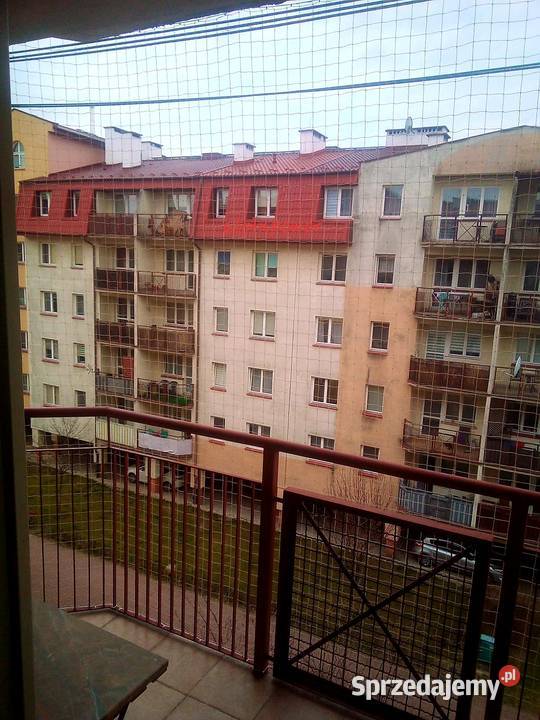Siatka ochronna na balkon przezroczysta Warszawa usługa dla zwierząt
