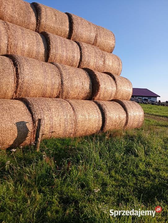 Sprzedam słome prasie Mchele 100 i 90 Rolnictwo