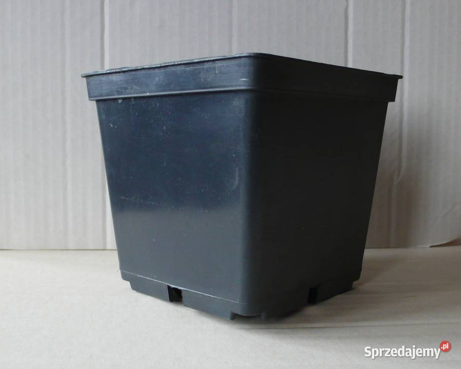 Doniczki produkcyjne 3000 Woj wielkopolskie Głębocko