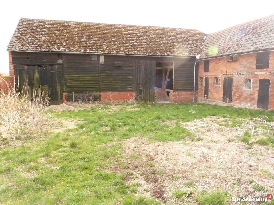 anio Gospodarstwo rolne Paprotki gm Malechowo Paprotki sprzedam