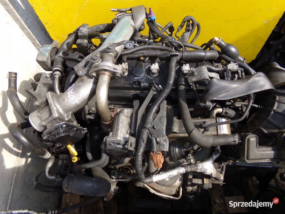 MURANO II NAVARA 25 DCI 12r 190 YD25 pompa Suków sprzedam