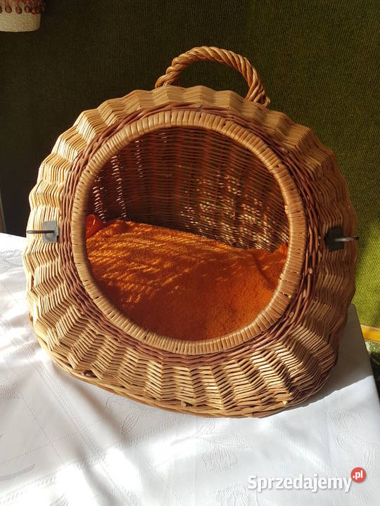 Transporter kota Tarnowskie Góry