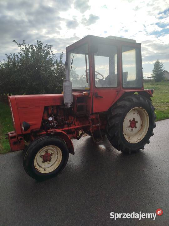 Władymirec t25 Kunów