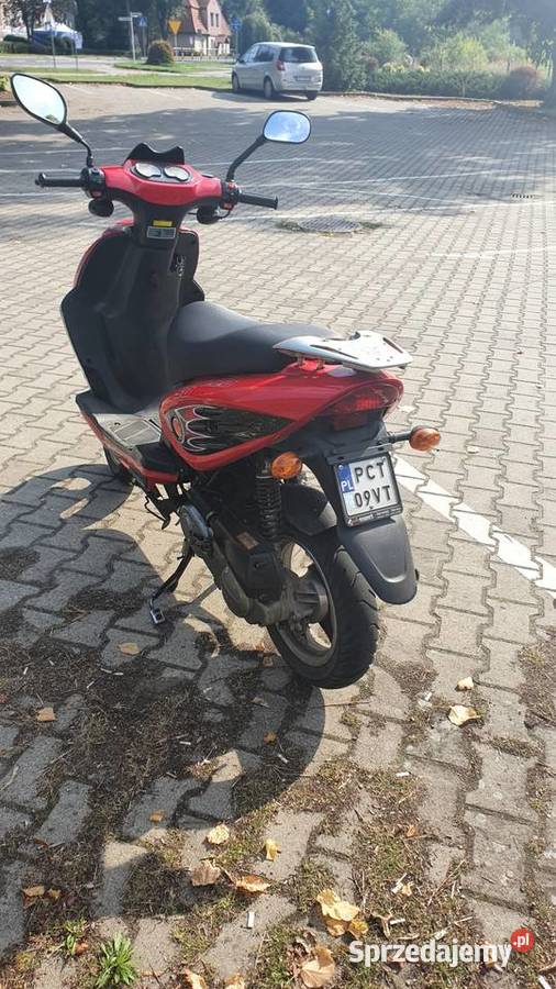 Skuter Zipp Steed 50 4t Wieleń