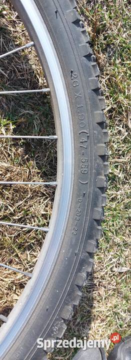 Rower delta Augustów