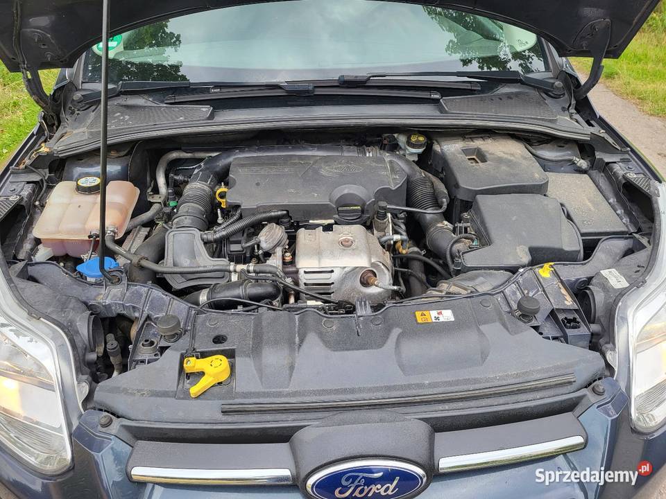 Focus mk3 2013r Benzynka Klima Super stan 148tkm Gostynin