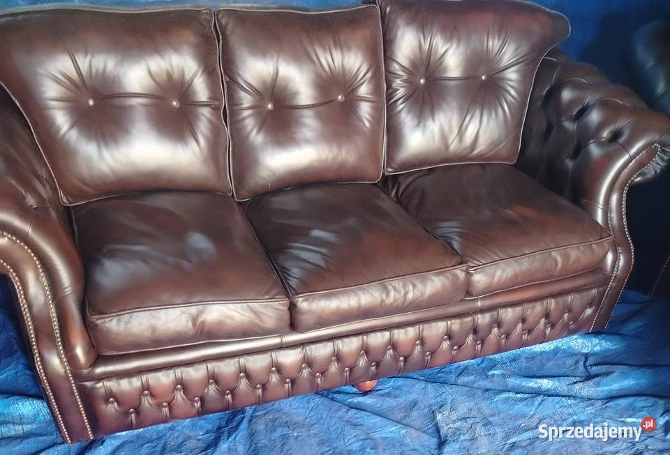 Chesterfield angielski Biała Podlaska